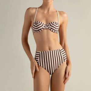 Brown Stripe Underwire High Waisted Bikini Set