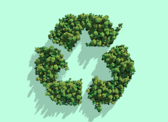 企业微信截图_17694940184307